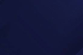 [德甲]31岁凯恩夺职业生涯首冠 加盟拜仁两年终问鼎德甲